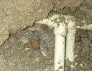 工农卫生间测漏
