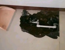 工农卫生间测漏水多少钱